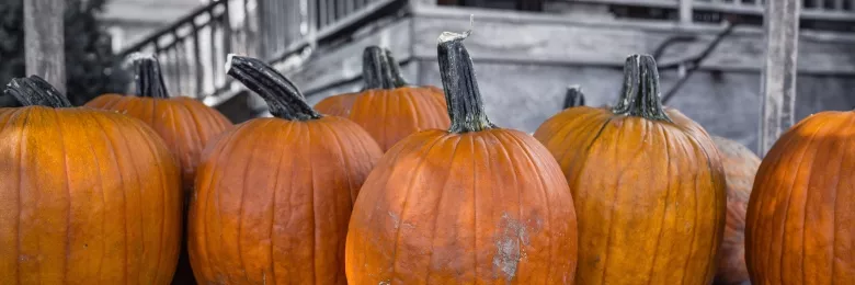 Pumpkins sitting on a porch